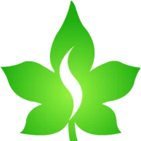 Sanriya Finvest